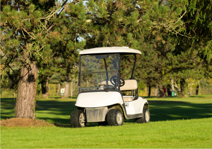 How much is a golf cart?