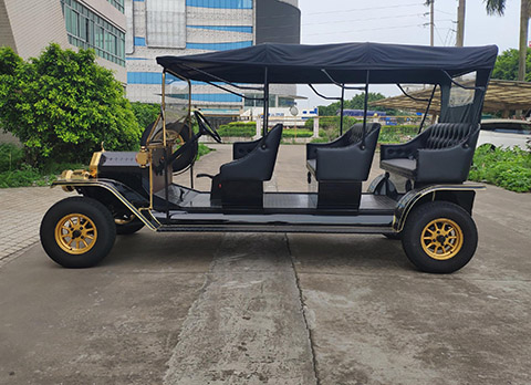 custom 6 seater electric golf cart for sale