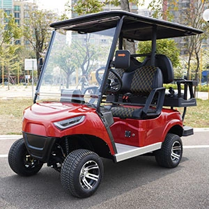 Custom Electric Carts Wide Sales & Service Network