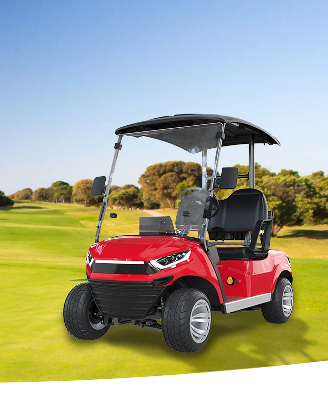 A Professional Electric Golf Cart Manufacturer