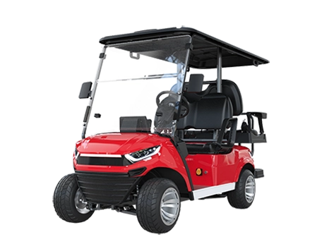 2+2 Seater Electric Golf Cart Y-QA2+2