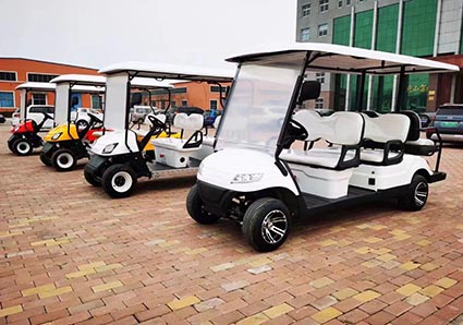 Troubleshooting and Maintenance of Golf Carts