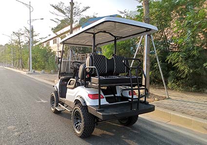 Why Tourism Prefers Electric Utility Vehicles