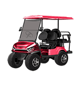 2+2 Seater Electric Golf Cart Y-QA2+2