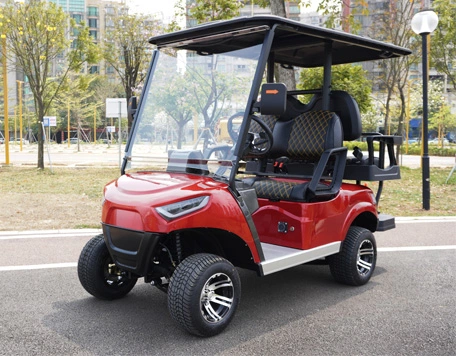 Details of Golf Cart-3
