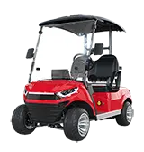2 Seater Golf Cart Y-QA2