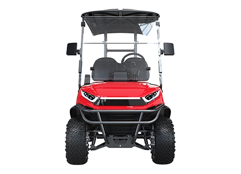 2 Seater Lifted Golf Cart for Sale