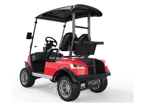 2 Seater Lifted Golf Cart for Sale