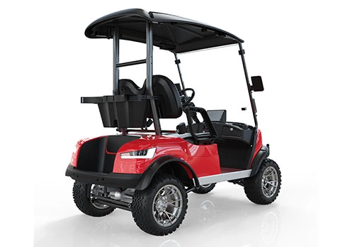 2 Seater Lifted Golf Cart